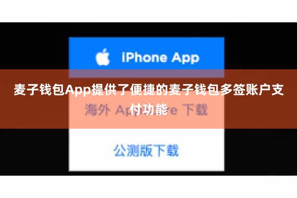 麦子钱包App提供了便捷的麦子钱包多签账户支付功能