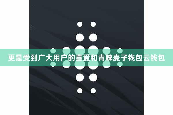 更是受到广大用户的喜爱和青睐麦子钱包云钱包