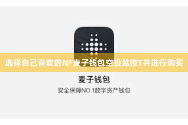 选择自己喜欢的NF麦子钱包空投监控T并进行购买