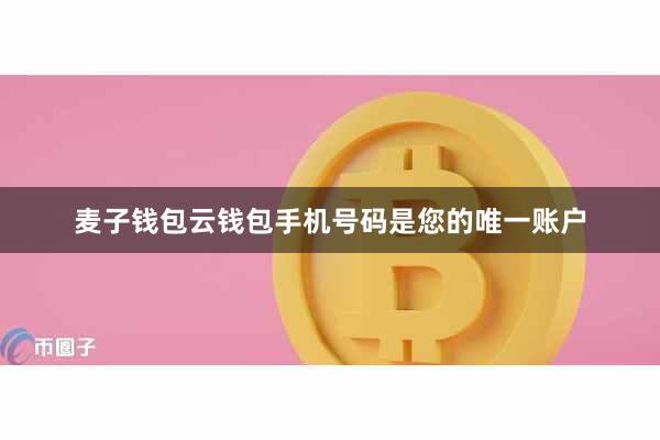 麦子钱包云钱包手机号码是您的唯一账户