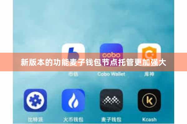 新版本的功能麦子钱包节点托管更加强大