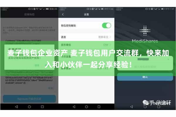 麦子钱包企业资产 麦子钱包用户交流群，快来加入和小伙伴一起分享经验！