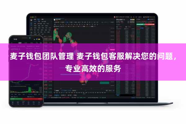 麦子钱包团队管理 麦子钱包客服解决您的问题，专业高效的服务