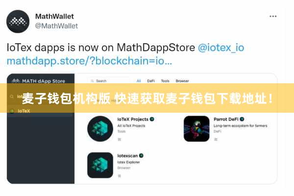 麦子钱包机构版 快速获取麦子钱包下载地址！