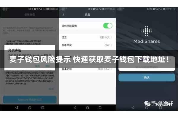 麦子钱包风险提示 快速获取麦子钱包下载地址！
