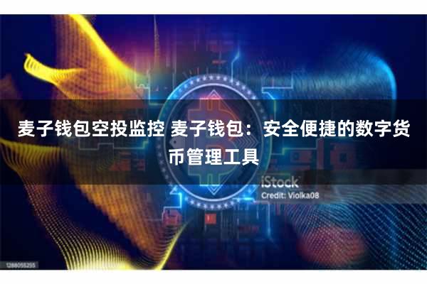 麦子钱包空投监控 麦子钱包：安全便捷的数字货币管理工具