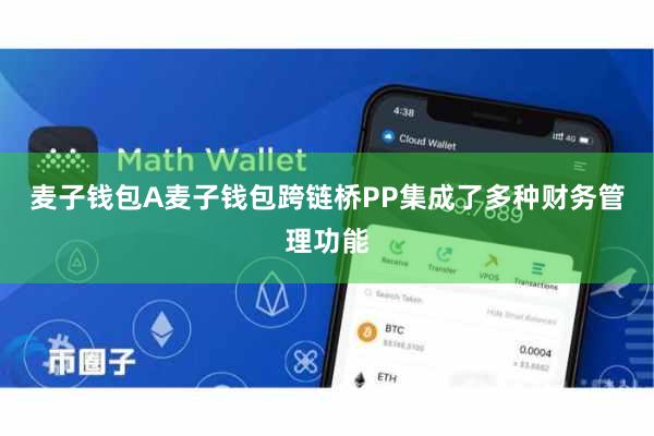 麦子钱包A麦子钱包跨链桥PP集成了多种财务管理功能