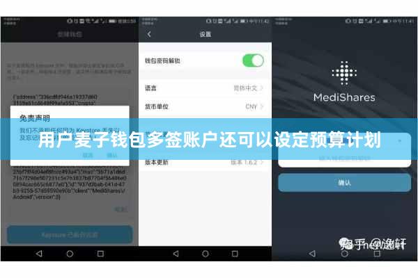 用户麦子钱包多签账户还可以设定预算计划