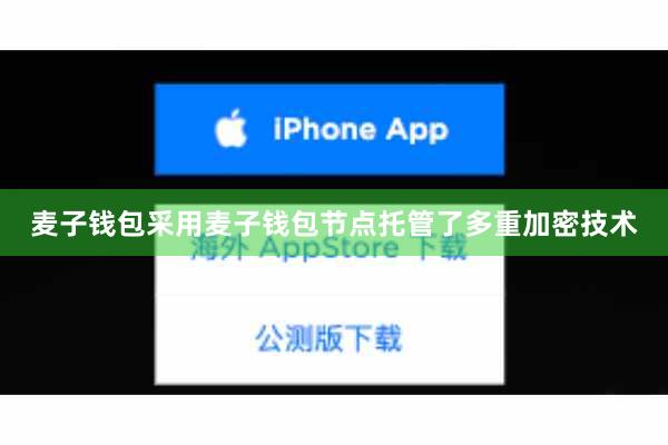 麦子钱包采用麦子钱包节点托管了多重加密技术
