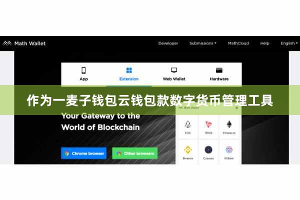 作为一麦子钱包云钱包款数字货币管理工具