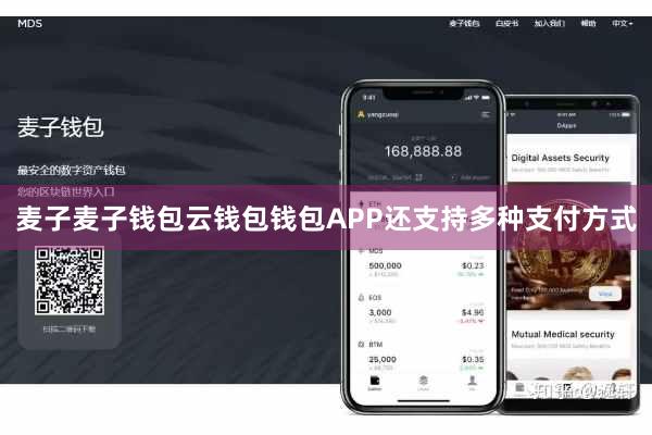 麦子麦子钱包云钱包钱包APP还支持多种支付方式