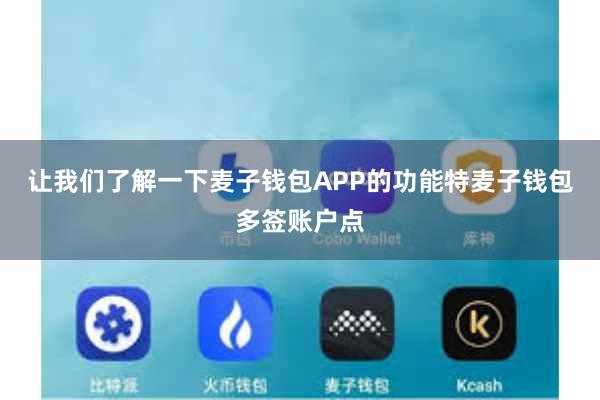 让我们了解一下麦子钱包APP的功能特麦子钱包多签账户点