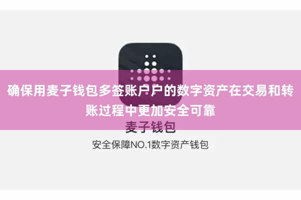 确保用麦子钱包多签账户户的数字资产在交易和转账过程中更加安全可靠