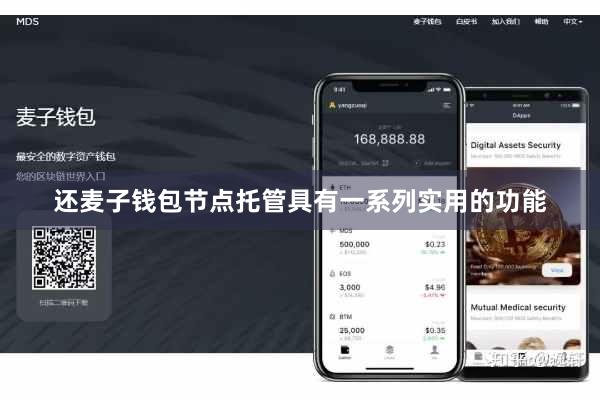 还麦子钱包节点托管具有一系列实用的功能