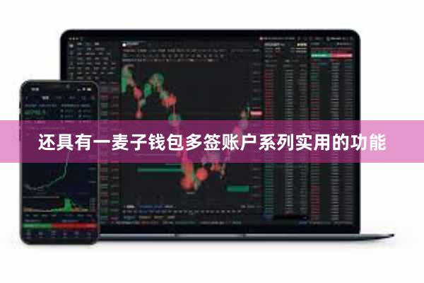 还具有一麦子钱包多签账户系列实用的功能