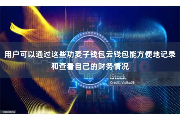 用户可以通过这些功麦子钱包云钱包能方便地记录和查看自己的财务情况