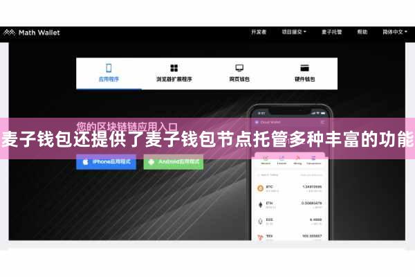 麦子钱包还提供了麦子钱包节点托管多种丰富的功能