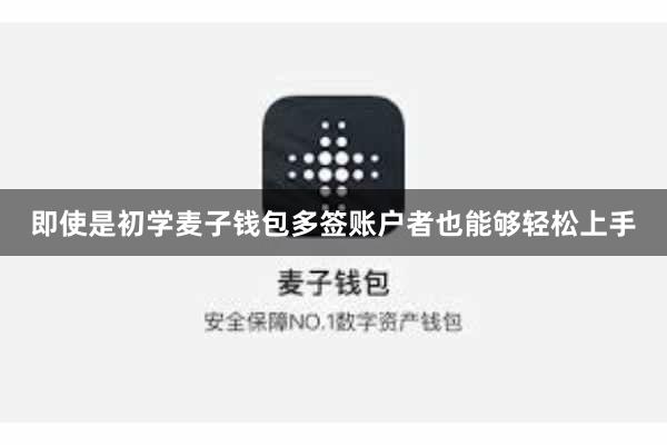 即使是初学麦子钱包多签账户者也能够轻松上手