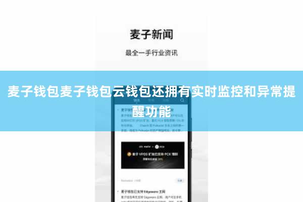 麦子钱包麦子钱包云钱包还拥有实时监控和异常提醒功能