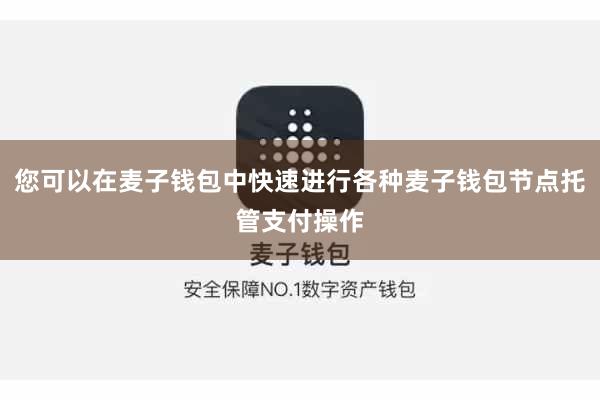 您可以在麦子钱包中快速进行各种麦子钱包节点托管支付操作