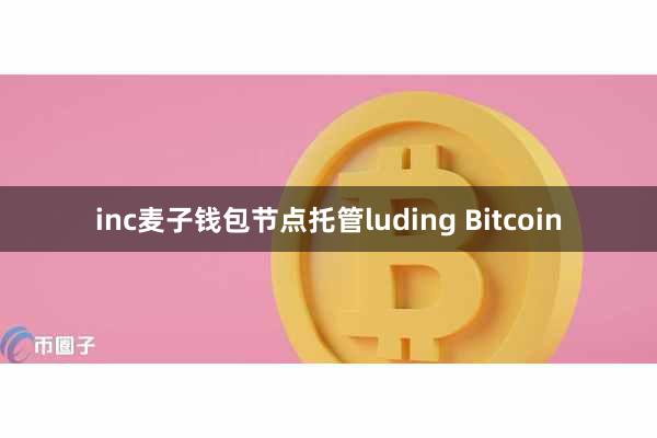 inc麦子钱包节点托管luding Bitcoin