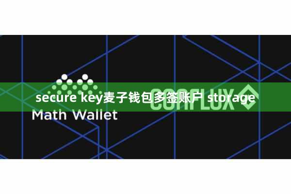secure key麦子钱包多签账户 storage