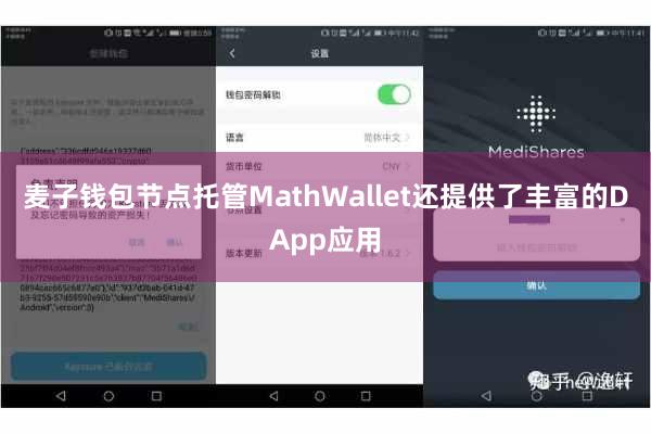 麦子钱包节点托管MathWallet还提供了丰富的DApp应用