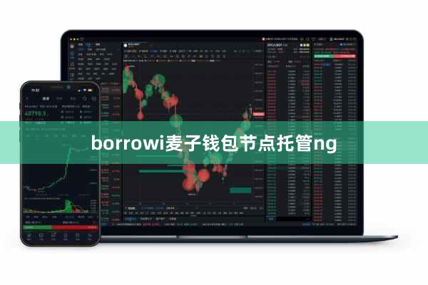 borrowi麦子钱包节点托管ng