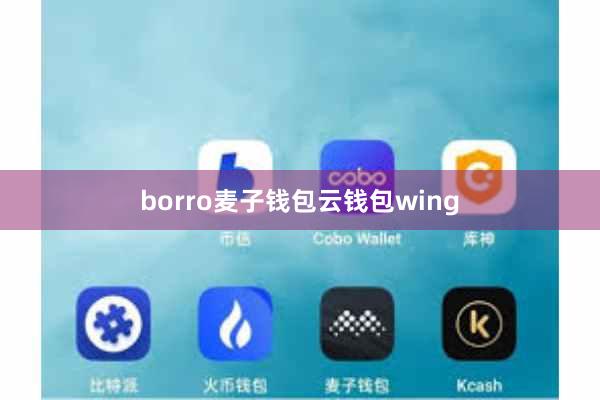 borro麦子钱包云钱包wing