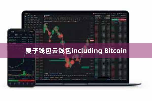 麦子钱包云钱包including Bitcoin
