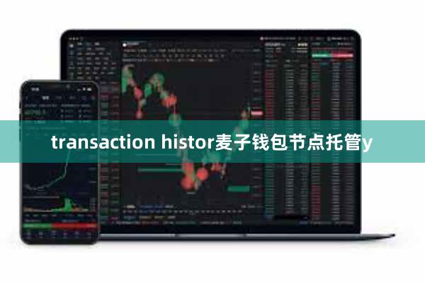 transaction histor麦子钱包节点托管y