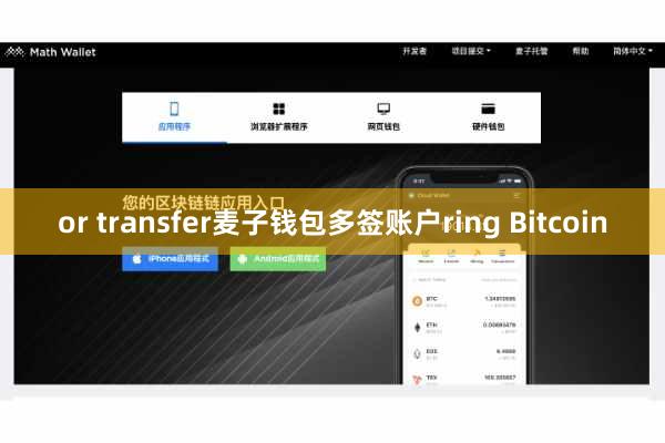 or transfer麦子钱包多签账户ring Bitcoin