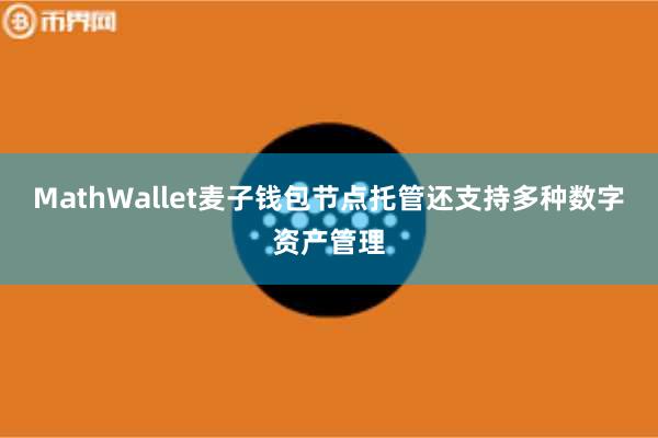 MathWallet麦子钱包节点托管还支持多种数字资产管理